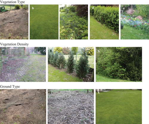 Figure 2. Examples of the predictor variables on the garden level: vegetation type (a–e) including no vegetation (a), lawn (b), groundcover (c), hedge (d), and flower bed (e); vegetation density (f–h) including no vegetation (f), sparse vegetation (g), and dense vegetation (h); and ground type (i–k) including bare soil (i), litter (j), and vegetated ground (k).