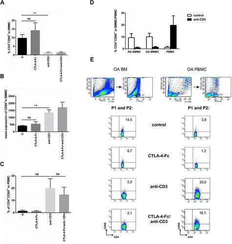 Figure 3 Modulation of CD69 expression by CTLA-4-Fc on CD4+ T-cells activated with anti-CD3. (A) Percentage of the CD3+CD4+CD69+ cells and (B) the mean expression of CD69 were investigated on cells from BM stimulated by anti-CD3 in the absence or presence of CTLA-4-Fc by flow cytometry. The results are presented as mean ± SEM (n = 4 in OA and n = 4 in RA patient groups, shown together). (C) Expression of CD69 were measured on CD3+CD4+ T cell population from PBMC stimulated by anti-CD3 in the absence or presence of CTLA-4-Fc. The results are shown as mean ± SEM of four independent experiments, using cells from two OA and two RA patients, shown together. (D) Induction of CD69 by anti-CD3 stimulation was compared on RA BMMC, OA BMMC (n = 4 in OA and RA patient groups, shown separately) and paired PBMC. (E) The gating strategy and representative staining are shown for OA BM CD4+ and OA PBMC CD4+ cells respectively. The results are shown as the mean ± SEM. Comparison of all groups was analyzed by Wilcoxon test; ** p < 0.01, ns – not significant, C (control) – cells cultured alone in culture medium.