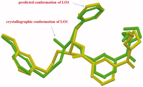 Figure 2. Poses of the predicted conformation of LO1 (yellow) and the crystallographic structure at Asp32o (green).