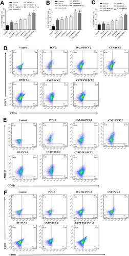 Figure 6 The activation of dendritic cells in draining lymph nodes. Dendritic cells isolated from the draining lymph node of mice were collected at 24 h after immunization with different formulations of PBS, PCV-2, ISA-206/PCV-2, CYP/PCV-2, BP/PCV-2, CYPP/PCV-2, and CYPP-PEI/PCV-2. Analysis of surface molecule expression (A) MHCI, (B) MHCII, and (C) CD80. Representative flow cytometry plots of (D) MHCI, (E) MHCII, and (F) CD80 surface activation markers expression in the lymph nodes. Results were expressed as mean ± SEM (n = 4). a–e Bars in the figure without the same superscripts differed significantly (P < 0.05).