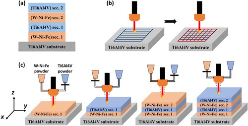 Figure 2. (a) Design of the DED processed Ti6Al4V/W7Ni3Fe alloy bimetallic layered structure. (b) Demonstration of the laser scanning orientation (0°, 90°). (c) Schematic of the laser fabrication process of the Ti6Al4V/W7Ni3Fe alloy layered structure by the DED method.