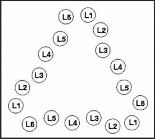 Figure 3 Index scheme for one turn of a Type II LHBH.Citation11 The nomenclature here follows reference Citation7. Note that L3,L5 point inwards.