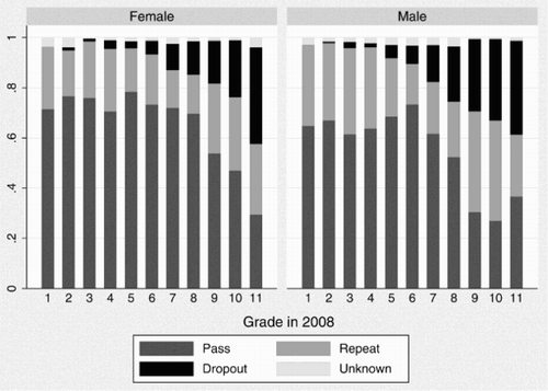 Figure 1: Schooling transitions between 2008 and 2010, males versus females