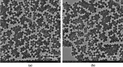 Figure 5. TEM images of (a) P(St-BA-AHAQ) (sample S7) and (b) P(St-BA)/PHAQ (sample S8) latex particles.