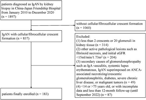 Figure 1. Flow chart of the study participants. IgAN, IgA nephropathy; eGFR, estimated glomerular filtration rate; ANCA, anti-neutrophil cytoplasmic antibodies.