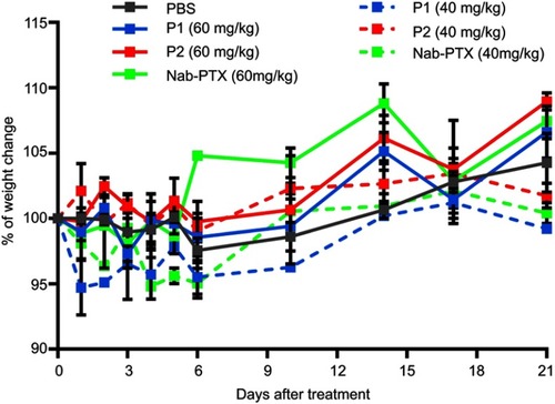 Figure S4 Toxicity of P1 NPs, P2 NPs and nab-PTX in healthy mice. Weight change (%) in healthy mice after treating with 40 or 60 mg/kg PTX containing P1 NPs, P2 NPs or nab-PTX. Error bars show SEM