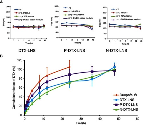 Figure 3 In vitro stability and drug release study (n=3). (A) Particle size changes of DTX-LNS, P-DTX-LNS and N-DTX-LNS at different conditions. (B) In vitro release of DTX from LNS. Data were given as mean ± SD (n=3).Abbreviation: SD, standard deviation.
