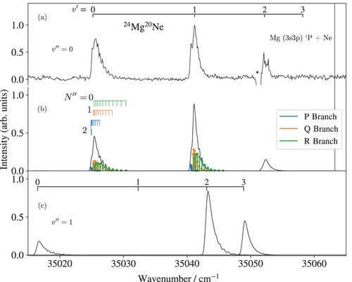 Figure 2. Experimental (a) and calculated (b) (1+1′) REMPI spectra of the 24Mg20Ne C 1Π← X 1Σ+ (v″=0) transition normalised to the maximal intensity. The blue, orange, and green bars indicate the positions of the P-, Q-, and R-branch lines, respectively. The numbers along the assignment bars in (b) correspond to the rotational-angular-momentum quantum number N″ of the X 1Σ+ ground state. The negative peak marked with an asterisk corresponds to the (3s3p) 1P←(3s2)1S0 transition of Mg. The vertical line marks the position of the dissociation limit Mg (3s3p) 1P + Ne 1S0. (c) Predicted REMPI spectrum of the C 1Π← X 1Σ+ (v″=1) transitions.