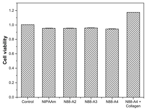 Figure 12 Cytotoxicity studies of the copolymer with different R ratio and PNIPAAm after 96 hours culture.Notes: The standard errors of NIPAAm, N88-A2, N88-A3, N88-A4, and N88-A4 with collagen are 0.0004, 0.0012, 0.0001, 0.0016, and 0.0003, respectively.Abbreviations: NIPAAm, N-isopropylacrylamide; PNIPAAm, poly(N-isopropylacrylamide); R ratio, molar ratio.