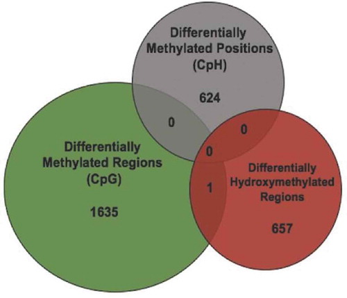 Figure 4. Differential 5hmC and 5mC occur at distinct genomic loci. (a) Venn diagram illustrates the overlap between genomic coordinates of DMRs (N = 1636; green), DmCH sites (N = 624; grey), and DhMRs (N = 658; red)