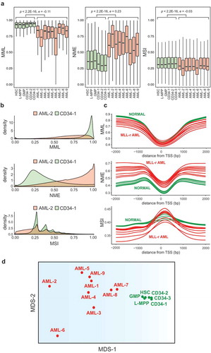 Figure 1. Distributions of the DNA methylation state in MLL-r AML and normal controls.(a) Boxplots of genome-wide distributions of mean methylation level (MML), normalized methylation entropy (NME), and methylation sensitivity index (MSI) values in 9 MLL-r AML and 6 normal control samples. Centre line, median; box, interquartile range (IQR); whiskers, 1.5 × IQR. Median differences between AML and normal were statistically evaluated using the Wilcoxon signed-rank test with p-values (p) and effect sizes (e) as shown. (b) Densities of genome-wide distributions of MML, NME, and MSI values in a representative MLL-r AML sample (AML-2) versus a CD34 sample (CD34-1). (c) Aggregate (mean) MML, NME, and MSI values in all MLL-r AML and normal control samples at CpG sites within promoter regions (± 2-kb from TSS). (d) First two coordinates of the multidimensional scaling (MDS) representation of the MLL-r AML and normal control samples based on a dissimilarity measure using the average Jensen-Shannon distances (JSDs) between the probability distributions of mean methylation levels within analysis regions in chromosome 1 computed from each AML/normal comparison.