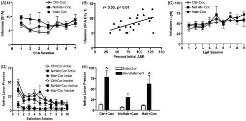 Figure 4. Exposure to the trauma context prevented cocaine reinstatement in cat urine- exposed rats not habituating (NoHab + Coc) the acoustic startle response (ASR), but not in the control + cocaine (Ctrl + Coc) and habituating + cocaine (Hab + Coc) rats. Panel A: The number of cocaine infusions over the course of Short Access (ShA) self-administration did not differ as a result of phenotype. Panel B: Percent initial ASR was positively correlated with the number of cocaine infusions on the first day of ShA self-administration (p < 0.01, n = 23). Panel C: The number of cocaine infusions over the course of Long Access (LgA) self-administration did not differ by phenotype. Panel D: The number of active lever presses over the course of extinction did not differ by phenotype. Panel E: Ctrl + Coc and Hab + Coc rats reinstated cocaine-seeking [paired t-tests, p < 0.01; p < 0.05, respectively], whereas NoHab + Coc rats did not. Ctrl + Coc = control rats not exposed to urine that self-administered cocaine (n = 8); NoHab + Coc = NoHab rats that self-administered cocaine (n = 5); Hab + Coc = Hab rats that self-administered cocaine (n = 5); Habituation assessment: percent initial ASR = [(average startle response of the last six ASR trials)/(average startle response of the first six ASR trials)] × 100, with higher percent initial ASR scores indicating lower habituation of the ASR. ^ = p < 0.05 compared to extinction. Data are presented as mean ± SEM.