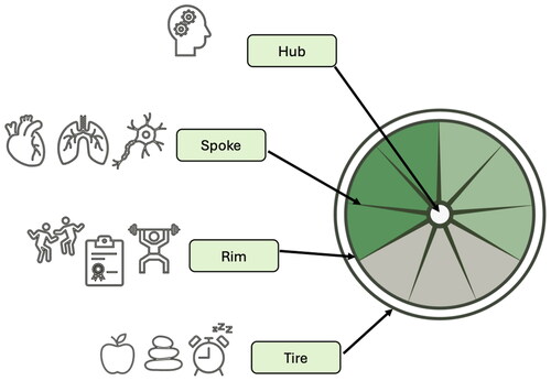 Figure 3. The OMAwheel™ as a pedagogical tool showing an individual’s prerequisites, limitations, and strengths, thereby potentially supporting and guiding the individual towards sustainable human movements, increased self-care responsibility, and ‘sustainable health’.