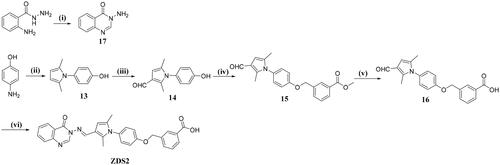 Scheme 2. Reagents and conditions: (i) DMF, imidazole hydrochloride, 150 °C, 13 h; (ii) p-TsOH, toluene, hexane-2,5-dione, reflux, 6 h; (iii) POCl3, DMF, 0 – 100 °C, 3 h; (iv) 3-bromomethylbenzoate, K2CO3, DMF, TEBA, rt, overnight; (v) NaOH, MeOH/H2O, 65 °C, 4 h; (vi) 17, TsOH, MeOH, rt, 3 h.