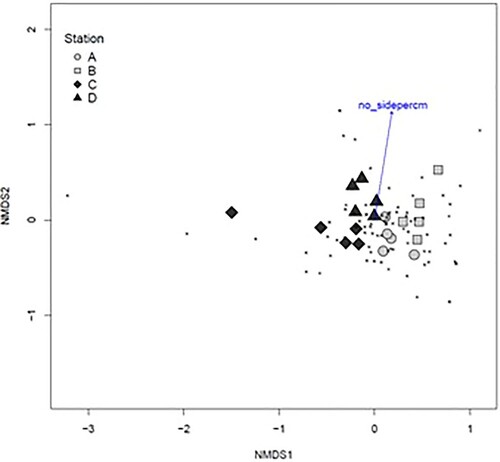 Figure 9. NMDS plot of the composition of the sessile and vagile fauna community associated with Sargassum muticum (excluding unsure or rare taxa, 84 taxa), stress = 0.14, Jaccard distance matrix on presence-absence data. The vector shows the relationship of branch density (number of primary laterals per cm main axis) with community composition. Samples are shaded by site type (sound = light grey; sheltered bay = dark grey).