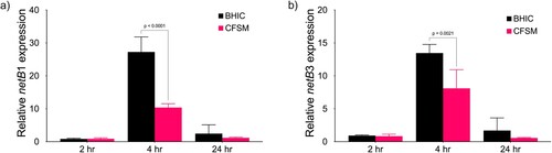 Figure 3. Expression of the netB pore-forming toxin is repressed by CFSM. RT-qPCR was performed using primers (a) netB1 and (b) netB3 on mid-log (2 h), late-log (4 h) and stationary phase (24 h) cultures of CL-15 grown in BHIC alone or treated with CFSM. Expression was normalized to the reference genes ftsZ and recA, and the fold change is relative to the untreated culture at 2 h. Data are the mean and standard deviation of three biological replicates and technical duplicates. Two-way analysis of variance (ANOVA) with Sidak pairwise multiple comparison test was used to evaluate significance.