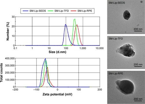 Figure 3 Size distribution, zeta potential, and transmission electron microscopic images of liposomes (Lip) prepared by the solution-enhanced dispersion supercritical fluids (SEDS), thin-film dispersion (TFD), and reversed-phase evaporation (RPE) methods.Abbreviation: SM, silymarin.