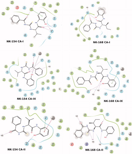 Figure 3. 2D docking poses of NK-154 and NK-168 into the hCAI, hCA II and hCAIX receptors. Polar, hydrophobic and charged domains were highlighted by different colors as shown in diagram legend.