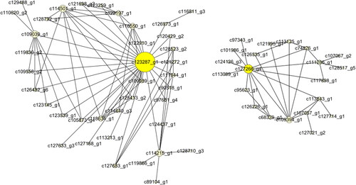 Figure 8. The network of the magenta module.