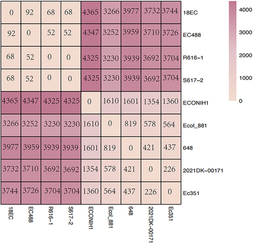 Figure 2 Single nucleotide polymorphisms (SNPs) numbers between E. coli 488 and a total of 9 ST648 E. coli strains co-carrying blaKPC-2 and blaCTX-M-15 genes.