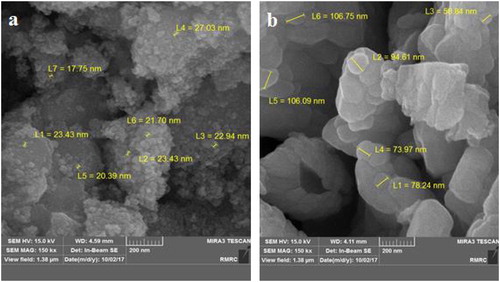 Figure 9. SEM image after adsorption isotherm of SnO2 (a) and WO3 (b) nano adsorbent (initial concentration of phosphate, 60 mg L−1).