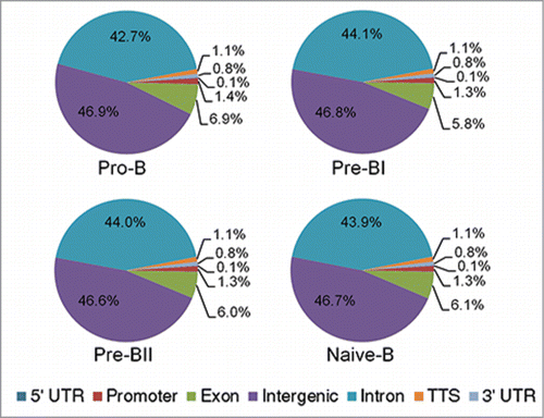 Figure 2. Genomic distribution of methylation peaks in pro-B, pre-BI, pre-BII, and naïve-B-cells.