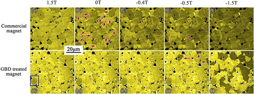 Figure 4. MOKE images of magnetic domain evolution of the commercial Nd–Fe–B sintered magnet (upper row) and GBD-treated Nd–Fe–B sintered magnet (lower row) in the field of 1.5 T to −1.5 T.