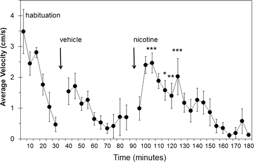 Figure 1.  Spontaneous locomotor activity of rats following no treatment (habituation), or s.c. injections of vehicle or nicotine. Drug-naive rats were monitored in the spontaneous activity chamber for 30 min to determine the time course of habituation (habituation). Immediately afterward, each rat was injected s.c. with vehicle and monitored for 50 min (vehicle). Finally, each rat was injected s.c. with 0.4 mg/kg nicotine and monitored for another 90 min (nicotine). Data shown are the average ± standard error of the mean (SEM) of the mean velocity of each rat over each 5 min period of monitoring (n = 6). Gaps at 30–35 min and 90–95 min were due to interruption of data collection when animals were removed from the chambers for injection. Significant differences were determined by analysis of variance by time point, with comparisons among the four treatment groups made by 2-way analysis of variance followed by Bonferroni’s multiple comparison test. *p < 0.05, **p < 0.01, ***p < 0.001 indicate time intervals at which nicotine was different from vehicle at the same time interval after the initiation of the respective phase of the experiment; that is, starting at 40 min for vehicle and at 95 min for nicotine.