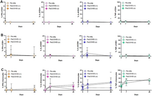Figure 4. Immune cellular response to influenza in the FluCOVID study. (A) Comparison of the median and IQR of CD4+ T cells percentage expressing INF-ɣ, IL-2, IL-6 and TNF-α. (B) Comparison of the median and IQR of CD8+ T cells percentage expressing INF-ɣ, IL-2, IL-6 and TNF-α. (C) Comparison of the median and IQR of monocytes percentage expressing INF-ɣ, IL-2, IL-6 and TNF-α. The three groups of vaccination are shown at baseline, day 7 and day 28: volunteers vaccinated with FLU vaccine only or vaccinated with both seasonal influenza vaccine and bivalent COVID19 mRNA vaccine in the same arm, FLU/COVID ( = ), or different arms, FLU/COVID (≠). Independent-Samples Kruskal-Wallis test was performed and Mann-Whitney U test was applied for pairwise comparisons: *p = 0.020, Flu versus Flu/COVID ( = ) (p = 0,047) and Flu/COVID ( = ) versus Flu/COVID (≠) (p = 0,010); **p = 0.018, Flu versus Flu/COVID ( = ) (p = 0,047) and Flu/COVID ( = ) versus Flu/COVID (≠) (p = 0,010).