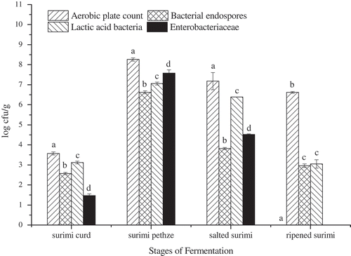 Figure 4. Changes in aerobic plate count, bacterial endospores, lactic acid bacteria, and enterobacteriaceae of surimi at different stages of fermentation. Different letters at the tops of the bars indicate significant differences (p < 0.05).