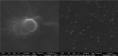 Figure 3 Scanning electron microscopy (SEM) images of PEG-PEI/siRNA nanoparticles at N/P 15 (120000× and 7500× respectively).Abbreviations: PEG-PEI, polyethylene glycol-polyethyleneimine; N/P, charge ratio between amino groups of PEG-PEI and phosphate groups of siRNA.