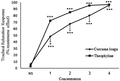 Figure 3. Concentration-response relaxant effect (mean ± SEM) of C. longa (n = 8) and theophylline (n = 6) on methacholine (10 μM) -induced contraction of rat tracheal smooth muscle in non-incubated tissues. ***: p < 0.001 compared to saline. +: p < 0.05 compared to the effect of theophylline. Statistical comparison was performed using ANOVA with Tukey Kramer post-test.