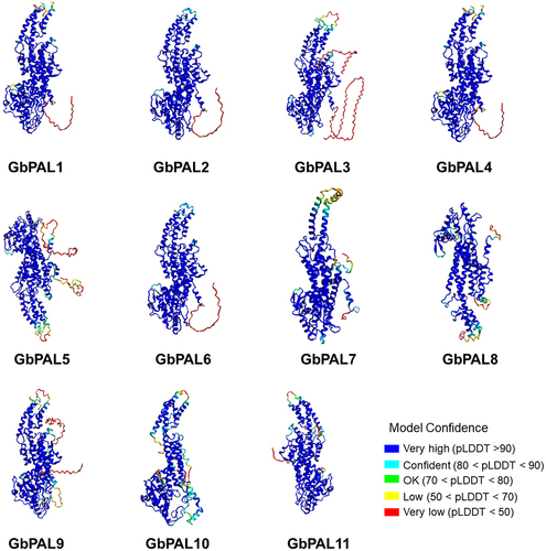 Figure 1. The tertiary structure of GbPAL proteins. The blue to green color indicates the confidence level from high to low, respectively.