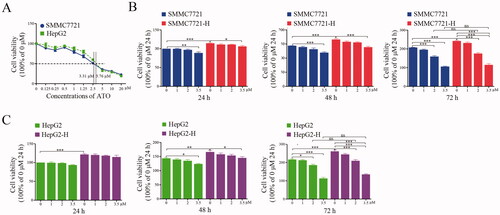 Figure 1. ATO at low concentrations does not inhibit the proliferation of HCC cells after insufficient RFA. HCC cells were treated with ATO and MTT assay was performed to assess the inhibitory effects on cell proliferation. (A) SMMC7721or HepG2 was treated with ATO for 72 h and IC50 was calculated. (B) SMMC7721 and SMMC7721-H cells were treated with ATO at 1, 2, and 3.5 μM concentrations. The differences in inhibitory effects of ATO on SMMC7721 and SMMC7721-H cells are shown. (C) HepG2 and HepG2-H cells were treated with ATO at 1, 2, and 3.5 μM concentrations. The differences in inhibitory effects of ATO on HepG2 and HepG2-H cells are shown. At least three independent experiments were performed. ns, no significance; *p<0.05; **p<0.01; and ***p<0.001.