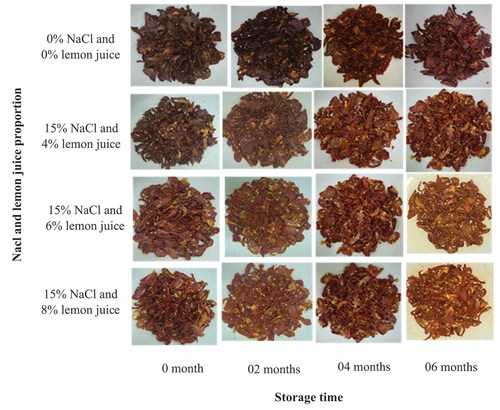 Figure 1. Pictures of control and pretreated dried tomato slices during storage.C: Control: tomato pulp without any treatment; L4: cut tomato pulp pretreated with 15% NaCl and 4% lemon juice; L6: tomato pulp pretreated with 15% NaCl and 6% lemon; L8: tomato pulp pretreated with 15% NaCl and 8% lemon (L8). FT, fresh tomato. All pretreatments were performed for 5 min.