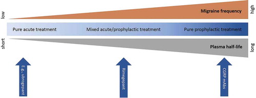 Figure 1. Rimegepant as a continuum for mixed acute and prophylactic treatment in migraine. Rimegepant is situated between pure acute treatments (e.g. ubrogepant) and pure prophylactic treatments (e.g. monoclonal antibodies (mAbs)) in migraine, based on its plasma half-life. This allows clinicians to choose the optimal treatment based on the migraine frequency