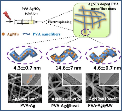 Figure 1 Overview of electrospinning process of AgNPs doped PVA nanofiber mats under different prepared conditions.Note: The orange arrow in the microscope image indicates the alignment direction of AgNPs along the as-prepared electrospun fibers in the PVA-Ag sample.Abbreviations: AgNPs, silver nanoparticles; PVA, poly(vinyl alcohol).