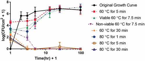 Figure 5. Biofilm regrowth post-thermal shock. Shaker plate-grown biofilms in TSB were thermally shocked and then re-incubated before enumeration to determine their regrowth rate. The horizontal axis indicates the hours after thermal shock (plus 1 h in order to plot the data on a logarithmic scale). The original growth curve (time after inoculation, not heat shock) is included (black circles) for comparison. Note there are two lines for regrowth after a thermal shock at 60 °C for 7.5 min since three quarters of the biofilms died out while the other quarter regrew. Additionally, thermal shocks of 60 °C for 30 min, 80 °C for 5 min, and 80 °C for 30 min had little to no regrowth while the other thermal shocks resulted in fully recovered biofilms post-heat shock.