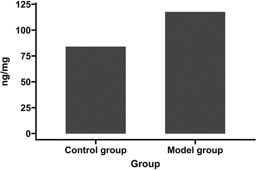 Figure 3. Evans blue dye leaked in both the model and sham-operated groups.