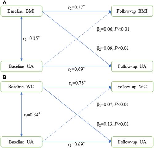 Figure 2 An illustration of the cross-lagged panel analysis models for the temporal associations of BMI (A) and WC (B) with serum UA, adjusting for age, sex, education level, cigarette smoking, alcohol consumption, low-density lipoprotein, high-density lipoprotein, and fasting glucose. All values were standardized with Z-transformation. The goodness of fit test: RMSR=0.009 and CFI=0.978 for BMI and RMSR=0.007 and CFI=0.987 for WC. β1 and β2 indicate cross-lagged path coefficients. r1 indicates a synchronous correlation. r2 and r3 indicate tracking correlations. *P < 0.05.