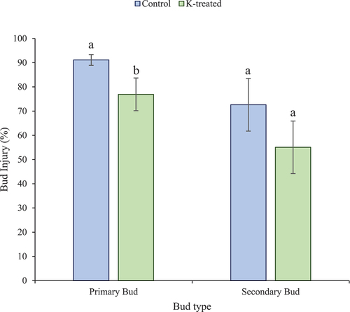Figure 3. Percent bud injury for K-treated (green) and control (blue) buds collected on January 11, 2023. Mean values marked with different letters denote a significant difference at p < .05. Error bars denote standard errors.