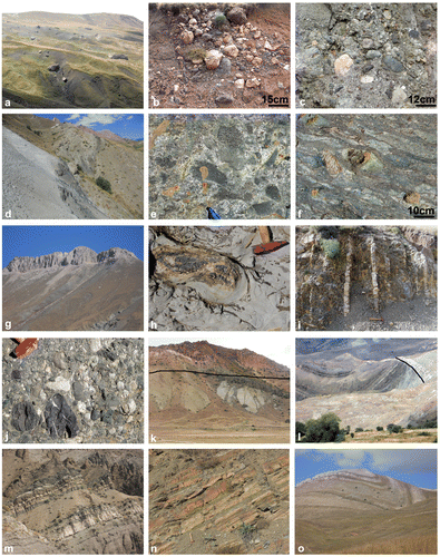 Figure 11. Field photographs. (a) Volcanic-sedimentary melange showing blocks, mainly limestone, in a matrix of shale and sandstone; the melange is traversed by sheared serpentinite (darker grey; middle distance); NW of Aziziye) (see Figure 5); (b) Debris-flow conglomerate within the matrix of the volcanic-sedimentary melange. Well-rounded clasts of pelagic limestone (pale) and basalt (dark) in a sandy and pebbly matrix; road paralleling Aras Nehri (river) (see Figure 5); (c) Debris-flow conglomerate with well-rounded clasts including gabbro, basalt, limestone and chert, set in a coarse sandy matrix; volcanic-sedimentary melange; near junction of main road to Çatalelma; Kırdağ area (40°28′ 12.2″N, 42°20′22.5″E) (see Figure 18); (d) Thrust sheet of sheared serpentinite (foreground, left) within dismembered sequence of Upper Cretaceous volcaniclastic sandstones and shales, above and below (Eurasian margin derived; 4 km W of Akören köy, Horasan area (see Figure 6); (e) Ophiolite-derived debris flow, with clasts of gabbro, basalt and serpentinite in a coarse ophiolite-derived clastic matrix; ~3.5 km NW of Dönertaş, Horasan area (40°14′36.5″N, 42°06′54.6″E). (see Figure 6); (f) Metadebris flow unit within the matrix of metamorphic melange (Zümrüt Metamorphics). Stretched clasts of metabasalt and metagabbro are set in a schistose, micaceous matrix (40°33′13.1″N, 42°12′31.3″E) (see Figure 18); (g) Thrust sheet of Upper Cretaceous–Palaeocene limestone related to the Eurasian margin succession, thrust over Jurassic ophiolitic gabbro; Talas Dağı area; see Figure 7; (h) Isoclinal fold (S-verging), cored with dark grey chert, near the top of the carbonate platform succession; Eurasian margin succession, dated as Late Cretaceous during this work; 5 km NW of Otlukbeli; see Figure 31 (40°01′38.8″N, 39°55′47.4″E); (i) Southward-younging succession of Upper Cretaceous volcanogenic sandstone turbidites, interbedded with mudstone; see Figure 25(b); near Başaklıköy; S of Karadağ (near 40°26′41.6″N, 41°50′22.8″E); (j) Debris-flow conglomerate with well-rounded clasts, including basaltic andesite and pelagic limestone set in a coarse sandy matrix; part of the Late Palaeocene?–Eocene succession that structurally underlies the Kırdağ ophiolite (SW of Bahçelikışla; 40°34′59.3″N, 42°08′49.2″E) (see Figures 18 and 32); (k) Unconformity between the Late Palaeocene–Early Eocene succession of marine clastic gravity-flow deposits and overlying Late Middle Jurassic (Bartonian) non-marine clastic sedimentary rocks (near Yukarı Kumlu; near 40°37′26.9″N, 36′07′48.4″E) (see Figures 18 and 32); (l) Open-folded marine Palaeocene sediments, unconformably overlain by non-marine red-beds, evaporites and caliche, marking the base of the Middle Eocene marine succession; view north-westwards from near Bozdoğan; Olur area (see Figure 33); (m) Volcaniclastic turbidites; Middle Eocene; NW of Bozdoğan, Olur area (see Figure 33 39°59′03.5″N, 42°10′32.1″E); (n) Eocene marine sandstones and shales (turbidites) overlying the northern part of the suture zone. N of Erzincan (see Figure 7) (39°54′53.5″N, 39°36′38.8″E); (o) Strongly folded Miocene shallow-marine sediments; 10 km WSW of Refahiye (39°54′53.5″N, 39°36′38.8″E); see Figure 23).