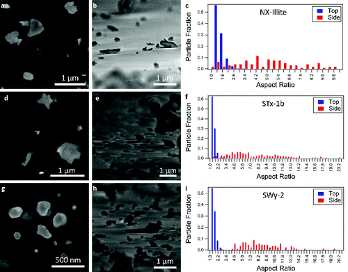 FIG. 3. SEM images of NX-illite in the (a) top-down and (b) side-on orientations. (c) The distribution of aspect ratios determined for NX-illite from the SEM images. (d) SEM images of STx-1b (montmorillonite) in the top-down and (e) side-on orientations. (f) The measured distribution of aspect ratios for STx-1b. (g) SEM images of SWy-2 in the top-down and (h) side-on orientations. (i) The distribution of aspect ratios for SWy-2. For (c), (f), and (i), the tick marks denote the bin to the left of the number.