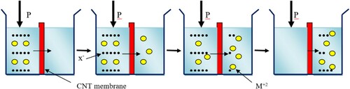 Figure 11. Charge balance mechanism by Donnan effect.