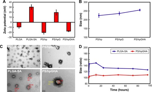 Figure 2 Physicochemical characterization of PS/hpGHA NPs.Notes: Effects of additional layers on (A) zeta potential and (B) hydrodynamic size. (C) Core shell structures of PLGA-SA and PS/hpGHA NPs under transmission electron microscope. (D) Stability of PLGA-SA and PS/hpGHA NPs in PBS (pH 7.4) during 96 hours of incubation.Abbreviations: NPs, nanoparticles; PLGA, poly (lactide-co-glycolide); PS, poly (lactide-co-glycolide)-stearylamine; SA, stearylamine.