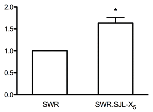 Figure 3. Quantitative expression of the Ar gene. Ovaries from a minimum of five individual females of the SWR and SWR.SJL-X5 strains were compared for quantitative expression of the Ar gene relative to the Actb reference gene by qPCR. A significantly increased expression was measured in the SWR.SJL-X5 ovaries, equal to 1.6 ± 0.13 fold that of the SWR strain (p = 0.0038).