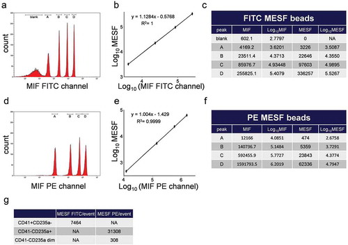 Figure 7. Calculation of MESF values for subpopulations CD41+ CD235a-, CD41-CD235a+ and CD41+ CD235a dim events produced using Cytoflex S cytometer. (a) MIF of each peak of calibration beads detected in FITC channel. (b) A linear regression analysis of Log10 MIF and Log10 MESF values for beads detected in FITC channel. (c) Calculation of Log10 of the MIF and FITC MESF values. (d) MIF of each peak of calibration beads detected in PE channel. (e) A linear regression analysis of Log10 MIF and Log10 MESF values for beads detected in PE channel. (f) Calculation of Log10 of the MIF and PE MESF values. (g) Calculations of the number of MESF per event for each of the investigated subpopulations.