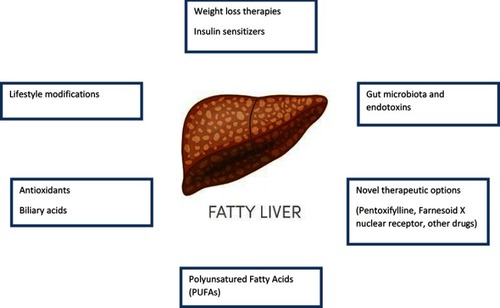 Figure 1 Available options for pediatric NAFLD treatment.