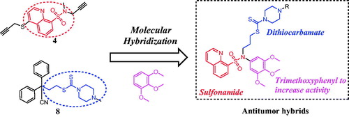 Figure 2. Illustration of the design strategy for sulfonamide hybrids.