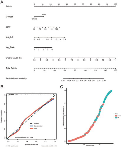 Figure 2. Nomogram based on IL-8 levels and its validation. (A) Nomogram developed based on serum IL-8 levels. (B) Nomogram’s calibration curve. (C) Patient predicted probability of death & actual survival status plot.